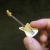 Miniature olympic white guitar lapel pin - Jazzmaster #0002